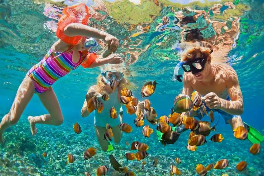 Spot Snorkeling Maer Karimunjawa